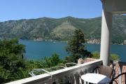 Top Kotor