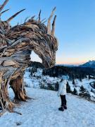 Rosa dei venti Rosa dei venti