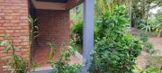 Top Alleppey