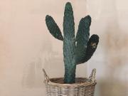 Top Puerto de Santiago