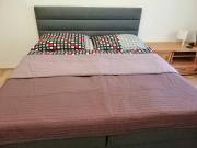 Apartment in city center