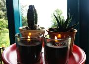 Top Dharamshala Top Dharamshala