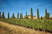 Top Montepulciano