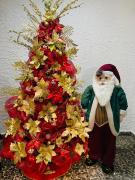 Top Santa Marta Top Santa Marta