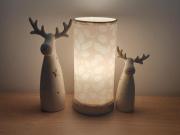 Top Liszki Top Liszki