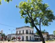 Top Esperanza