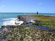 Top Arniston