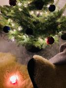 Top Piwniczna-Zdrój Top Piwniczna-Zdrój