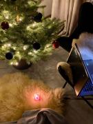 Top Piwniczna-Zdrój Top Piwniczna-Zdrój