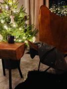 Top Piwniczna-Zdrój Top Piwniczna-Zdrój