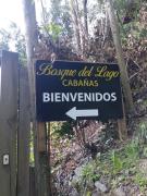 Bosque del Lago