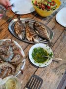 Top Ulcinj