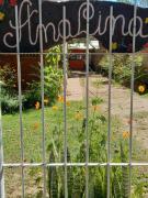 Top San Marcos Sierra