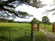 Top San Luis de Palenque