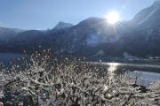 Top Hallstatt