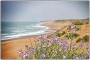 Top Les Sables-dʼOlonne