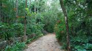 Top Yercaud Top Yercaud