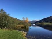 Voss- Oppheim suite private cozy cabin