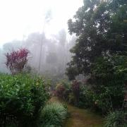 Top Madikeri