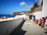 Top La Herradura