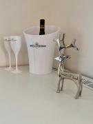 Top Svoboda nad Úpou