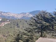 Top Shimla