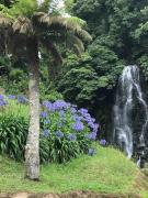 Casa Cassanelli by the ocean