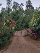 Top Madikeri