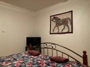 Penzion U bílého jaka