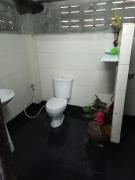 tree house chiang mai