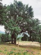 Top Cabeceiras de Basto