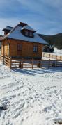 Top Ribnica