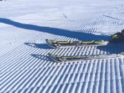 Top Sienna Top Sienna