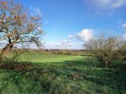 Top Saint-Lumine-de-Coutais