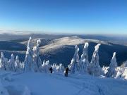 Top Sienna Top Sienna