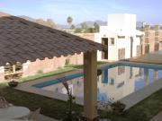 Top San Carlos Top San Carlos