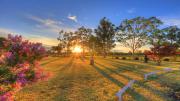 Top Gilgandra