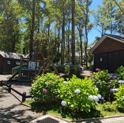 Top Pucón Top Pucón