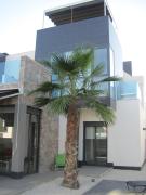 Top Dehesa de Campoamor