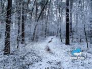 Top Schwaig bei Nürnberg