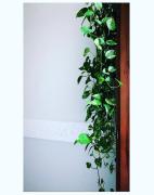 Top Catanzaro Top Catanzaro