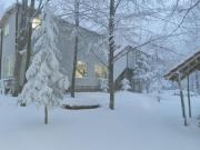 Apartmani SP Jovanovic