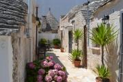 Top Alberobello