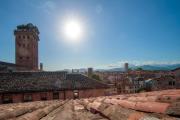 Top Lucca