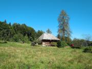 Top Hinterzarten