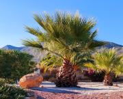 Top Hondón de las Nieves