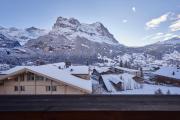 Top Grindelwald