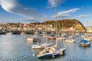 Top Scarborough