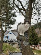 Poza Czasem Poza Czasem