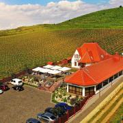 Top Berehove Top Berehove